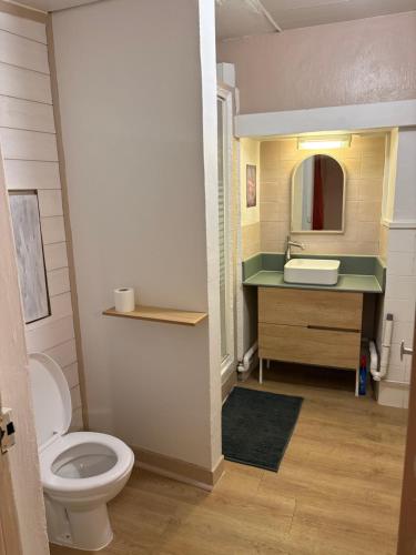 a bathroom with a toilet and a sink at Appartement la Tûte centre Laruns in Laruns