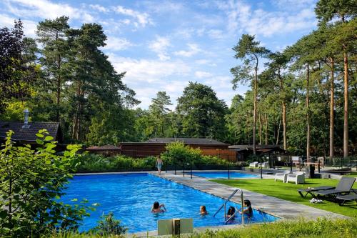 a group of people swimming in a swimming pool at StayatSas Pippa grote omheinde tuin in het bos aan grote vijver, zwembad en restaurant op het park, stijlvol ingericht,veel privacy in Doornspijk