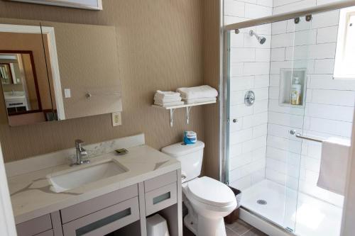 a bathroom with a sink and a toilet and a shower at Pacific Heights Inn in San Francisco