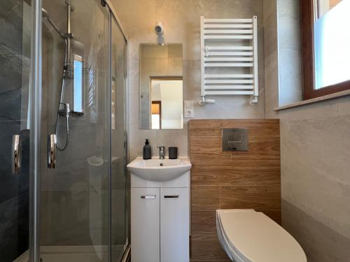 a bathroom with a toilet and a sink and a shower at Noclegi Widokowa Przystań in Krajno Pierwsze
