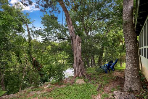 a blue bench sitting next to a tree at Lily Pad in Wimberley