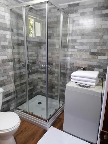 a bathroom with a shower and a toilet at Cabañas CyG - Chaitén in Chaitén