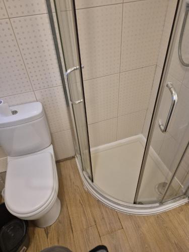 a bathroom with a toilet and a shower at Self-contained Studio near Tottenham Hotspurs stadium in London