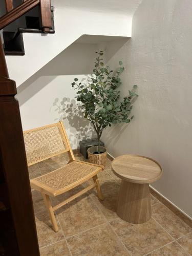a wooden chair and a table and a potted plant at Iris 25 in Playa Blanca