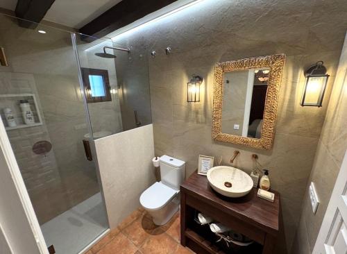 a bathroom with a shower and a toilet and a sink at La Casa de los Limones in Montilla