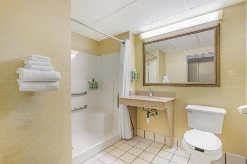 a bathroom with a toilet and a sink and a shower at Best Western Holiday Lodge in Clear Lake