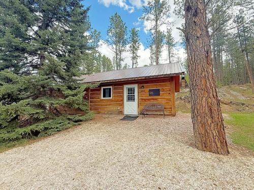 a wooden cabin in the woods with a tree at Schuster's Cabin in Custer