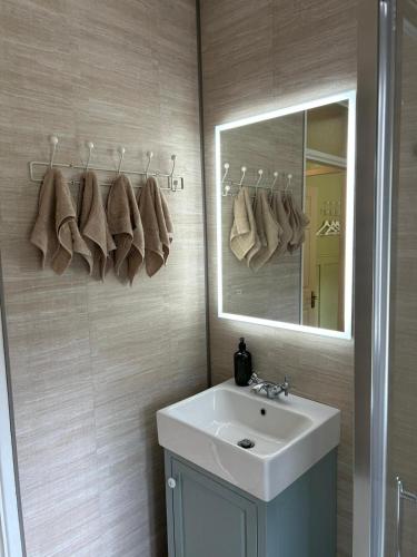 a bathroom with a sink and a mirror at The Greenway Getaway in Abbeyside