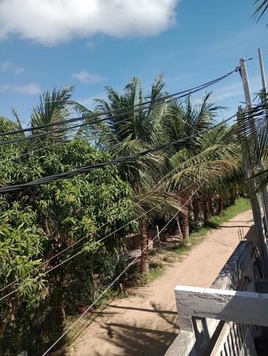 a dirt road with palm trees next to a fence at Renascer in São Pedro da Aldeia