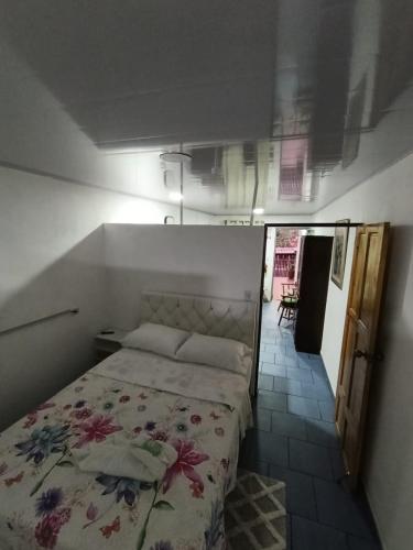 a bedroom with a bed in a small room at Apartamentos Novoa in San José