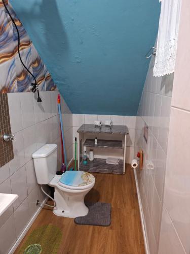 a small bathroom with a toilet and a sink at Interlagos Family House in São Paulo