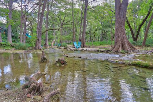 a stream in a wooded area with trees at Creekside Cabins - The Nest in Wimberley
