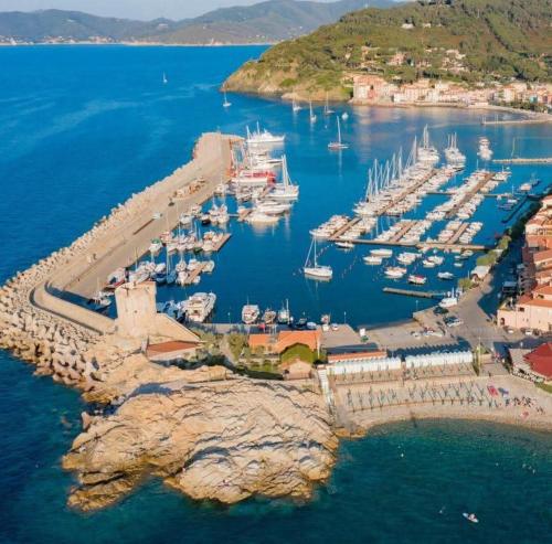 an aerial view of a harbor with boats in the water at Blue Living - Alta Marina in Marciana Marina