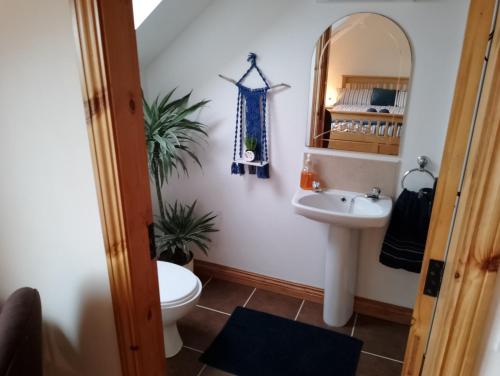a bathroom with a sink and a mirror at Ardnacassa in Kilcrohane