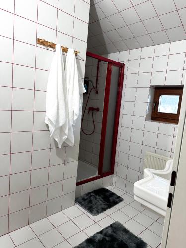 a bathroom with a shower and a toilet and a sink at Apartment nahe Semmering mit Sauna, Kamin & Terrasse in Enzenreith