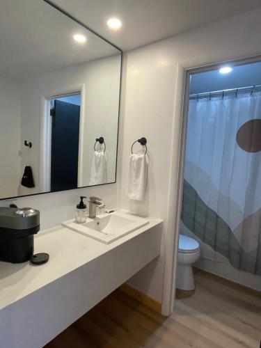 a bathroom with a sink and a toilet and a mirror at Lava Mountain Lodge in Dubois