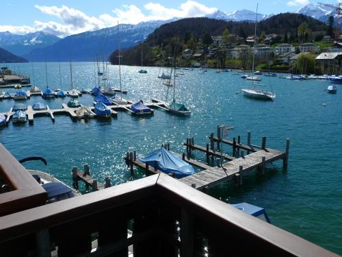 a view of a marina with boats in the water at Hotel-Restaurant Seegarten-Marina in Spiez