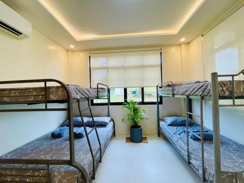 a room with three bunk beds and a potted plant at Camp J Staycation in Cayucay