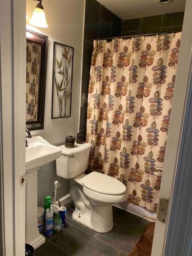 a bathroom with a toilet and a sink and a shower curtain at The Oasis in Clinton