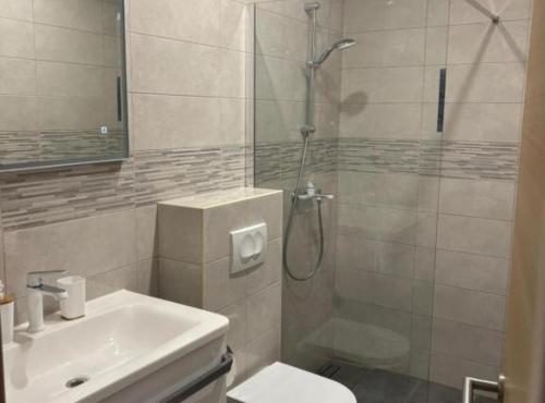 a bathroom with a shower and a toilet and a sink at Villa Coral in Novo Selo