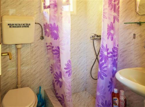 a bathroom with a shower curtain with a toilet and a sink at Nirvana Apartments & Auto Camp in Kumbor
