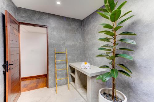 a plant in a room with a table and a ladder at Olala Suite Canggu Guesthouse in Canggu