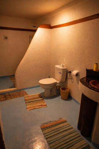 a bathroom with a toilet and some rugs at DAR DANI café restaurant in Boumalne Dades