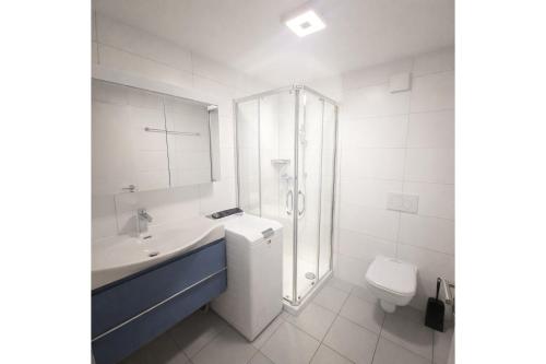 a bathroom with a sink and a shower and a toilet at Maison D'Hortense chalet le Chamois in Hérémence