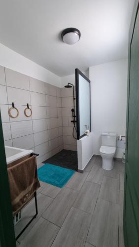 a bathroom with a toilet and a sink and a mirror at Villa Horizon Volcan in Saint-Philippe