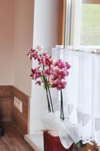 Fotografie z fotogalerie ubytování Sonnenchalet 2 im Salzburger Lungau v Mariapfarru