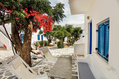 grupa krzeseł i drzewo na dziedzińcu w obiekcie Acrogiali Beachfront Hotel Mykonos w mieście Platis Gialos Mykonos