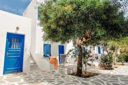 a blue door and a tree in front of a building at Acrogiali Beachfront Hotel Mykonos in Platis Gialos
