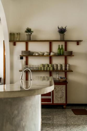 a kitchen with a counter and shelves with plants at ISOLA - Surf House in Ahangama