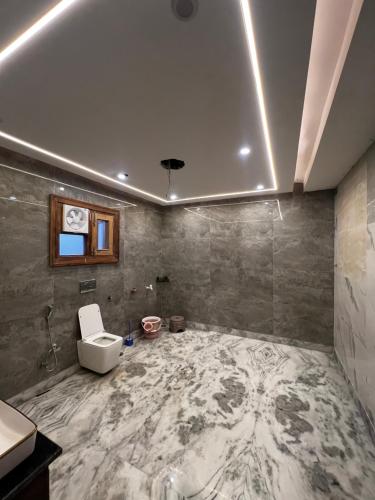 a bathroom with a toilet and a sink at Happy Homes in Jammu