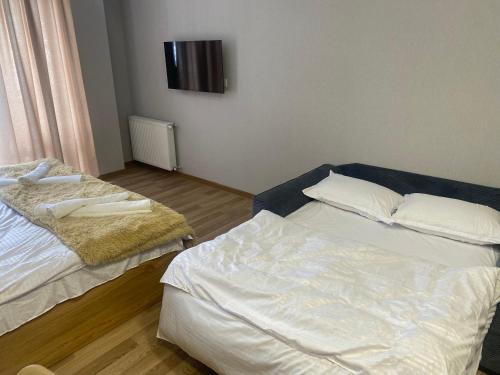 a bedroom with two beds and a tv on the wall at Cozy apartment Dvali in Bakuriani