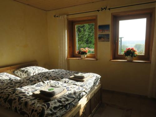 ein Schlafzimmer mit einem Bett und zwei Fenstern in der Unterkunft Ferienhaus Sonne, Harz und Sterne in Hohegeiß