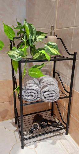 a towel rack with towels and a plant on it at Rohu Apartment in Pärnu