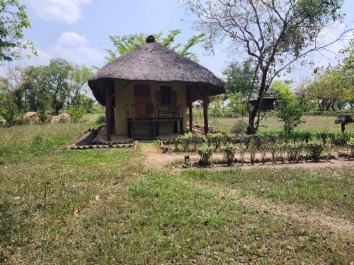 a hut with a grass roof in a field at Mama Washindi Lodge in Pakwach East