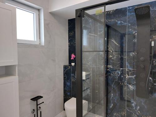a bathroom with a shower with a toilet and a window at Holiday house VILLA PATRICK with pool, jacuzzi and sauna in Kornić
