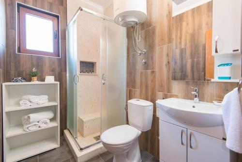 a bathroom with a toilet and a shower and a sink at Ethno Village St George in Cetinje