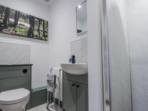 a bathroom with a toilet and a sink at Islay Cottage in Kincraig