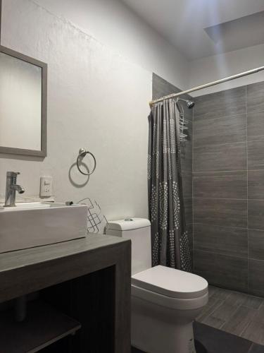 a bathroom with a toilet and a sink and a shower at Casa providencia suites in Guadalajara