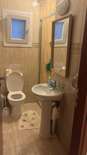 a bathroom with a toilet and a sink and a mirror at Vergi Apartments in Pyla