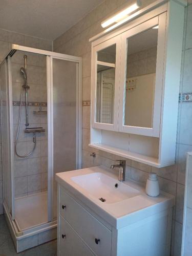a bathroom with a sink and a shower at Gemütliches Häuschen am Fleesensee in Göhren-Lebbin