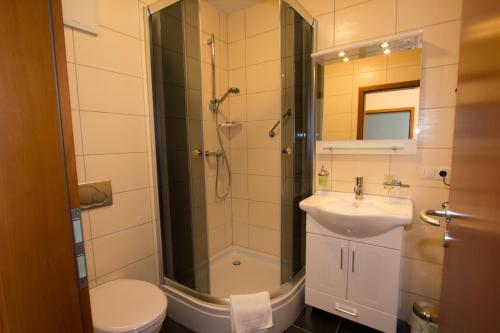 a bathroom with a shower and a sink and a toilet at Hotel Rhein-Mosel-View in Koblenz