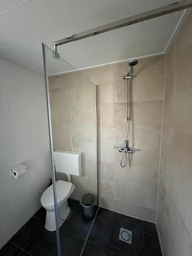 a bathroom with a toilet and a shower stall at Wellness in de NATUUR in Neede