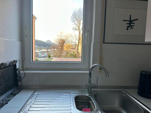 a sink in a kitchen with a window at An der Elbe in Bad Schandau