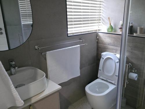 ein Badezimmer mit Waschbecken, Toilette und Spiegel in der Unterkunft Leipoldt Self-Catering Accommodation in Secunda