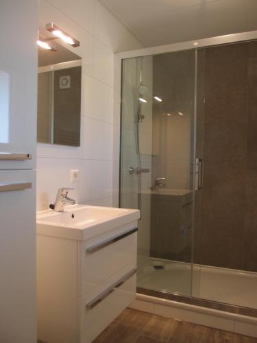 a bathroom with a sink and a glass shower at Moulin de Hotton in Hotton