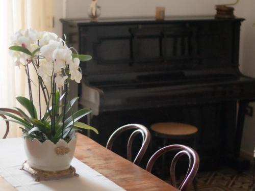 Lux Domus photo 8